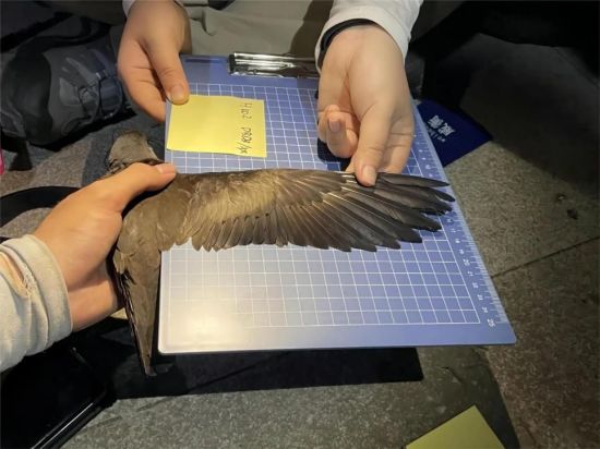 7790�ط����Ź������,����Ұ������׷��,��������׷����,����׷����