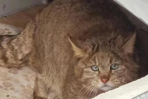 7790�ط����Ź������,����Ұ������׷��,��������׷����,����׷����