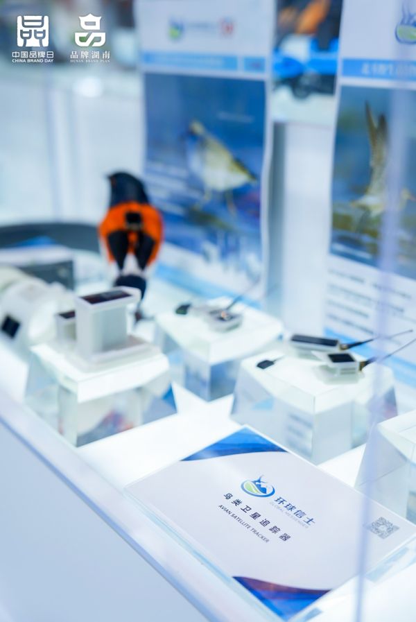 7790�ط����Ź������,����Ұ������׷��,��������׷����,����׷����