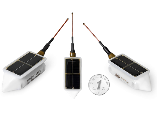 7790�ط����Ź������,����Ұ������׷��,��������׷����,����׷����