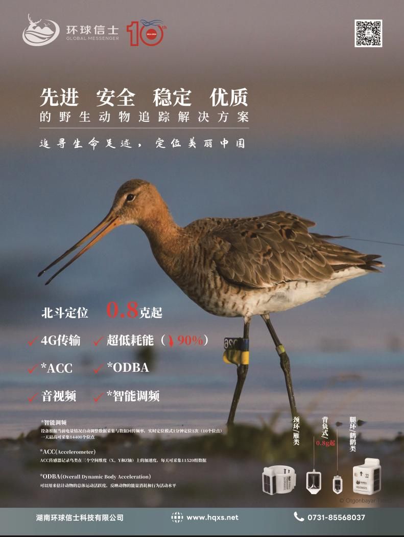 7790�ط����Ź������,����Ұ������׷��,��������׷����,����׷����