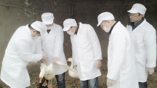 7790�ط����Ź������,����Ұ������׷��,��������׷����,����׷����