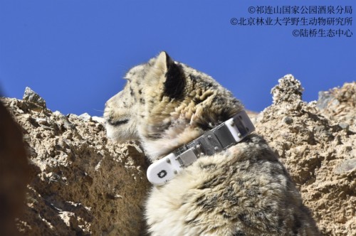 7790�ط����Ź������,����Ұ������׷��,��������׷����,����׷����