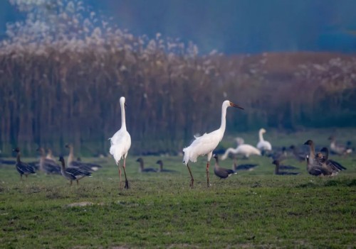 7790�ط����Ź������,����Ұ������׷��,��������׷����,����׷����