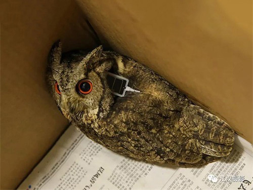 2018Äê2ÔÂÊØ»¤±±Áì½Çû^·Å·É 2018Äê2ÔÂÊØ»¤±±Áì½Çû^·Å·É